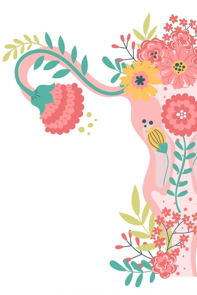 Taller de ciclo menstrual